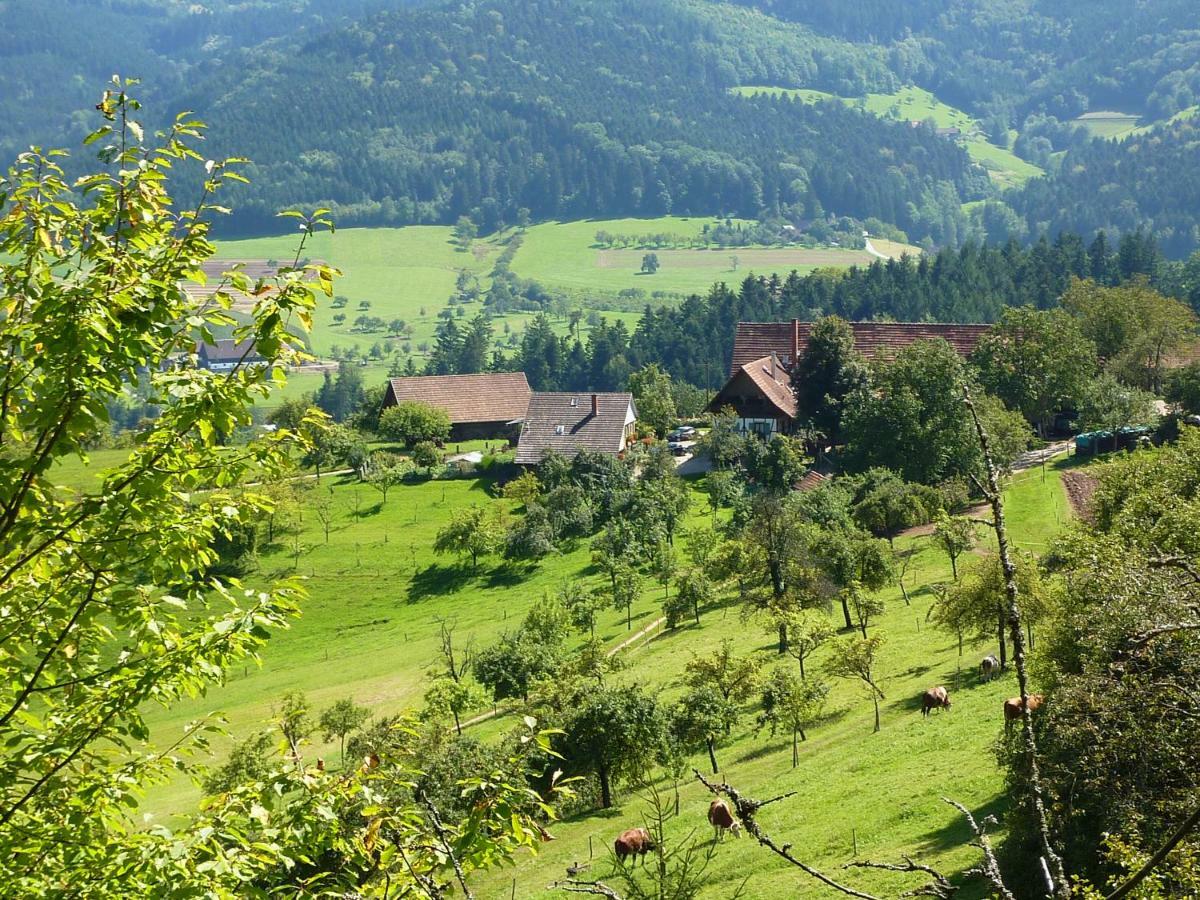 Willa Ferienhaus Eck Zell am Harmersbach Zewnętrze zdjęcie