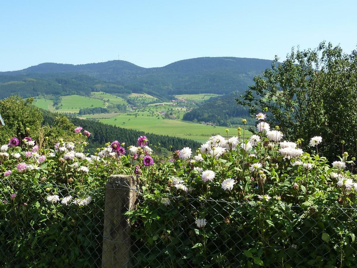 Willa Ferienhaus Eck Zell am Harmersbach Zewnętrze zdjęcie